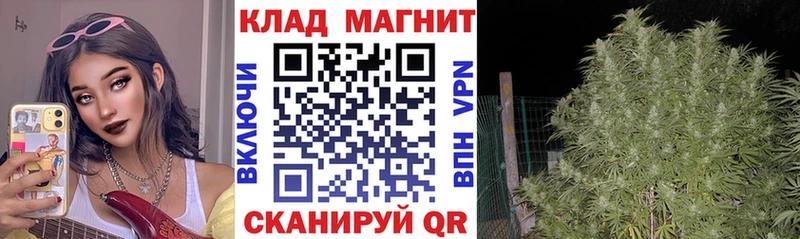 Цена Можайск Конопля  А ПВП  ГАШ 