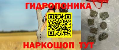ПСИЛОЦИБИНОВЫЕ ГРИБЫ Заволжье