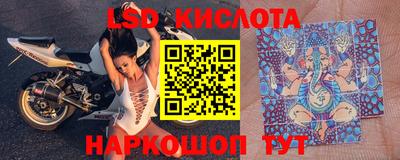 прущие грибы Жуковский