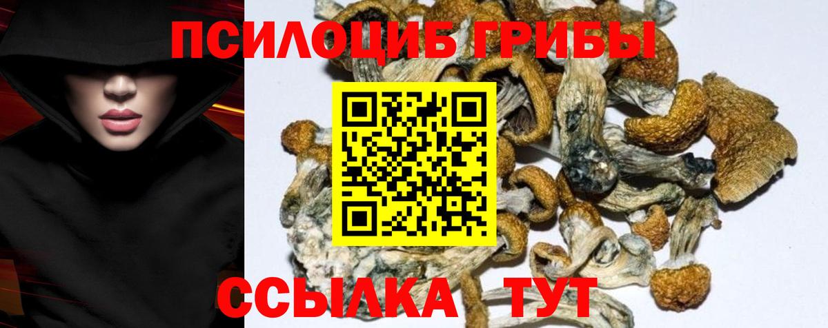 Псилоцибиновые грибы мицелий  Вход с VPN  Галлюциногенные грибы мухоморы  Можайск 